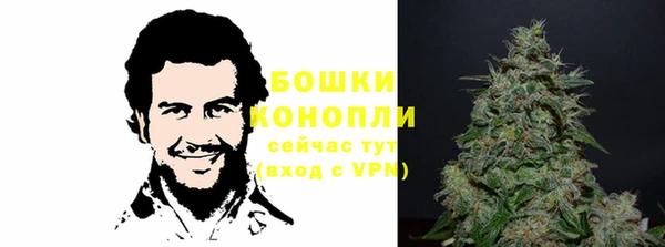 трава Белокуриха
