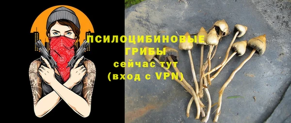 mdpv Беломорск